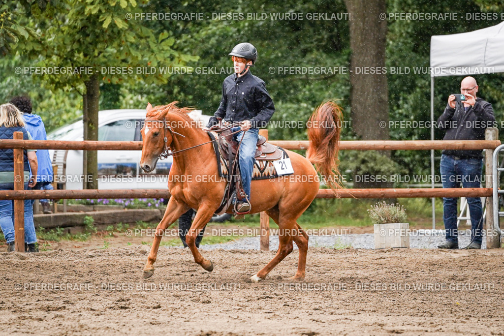 DSC08995 | Pferdegrafie