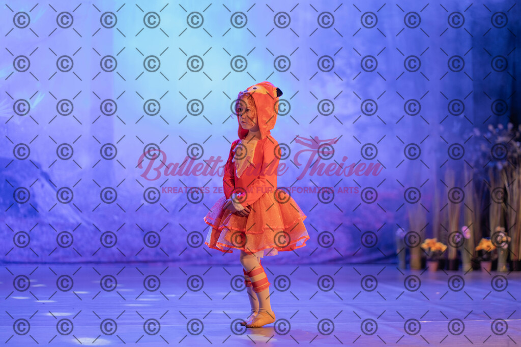 Ballettaufführung-1149 | Bildershop Lem'n Entertainment - Realisiert mit Pictrs.com