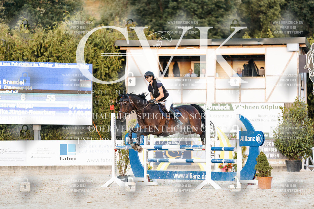 CK901355 | Turnierfotografie Pferdefotografie Trier Rheinland-Pfalz Pferdesport Reitsport Tierfotografie Sportfotografie Pferdevideo Pferdevideografie Equestrianvideography equestrianphotography  - Realisiert mit Pictrs.com