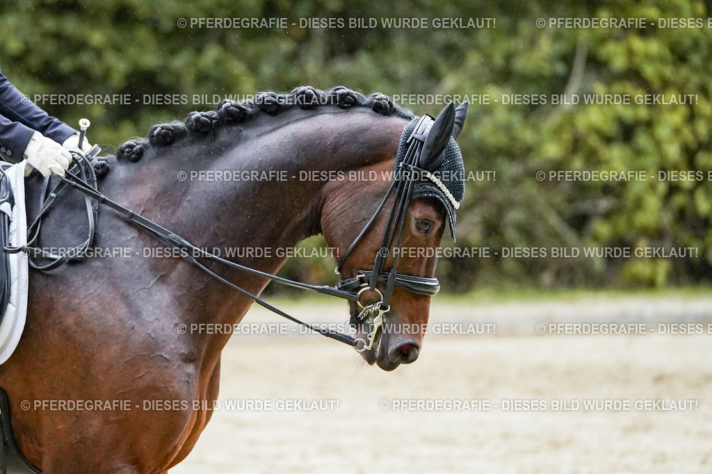 DSC00298 | Pferdegrafie