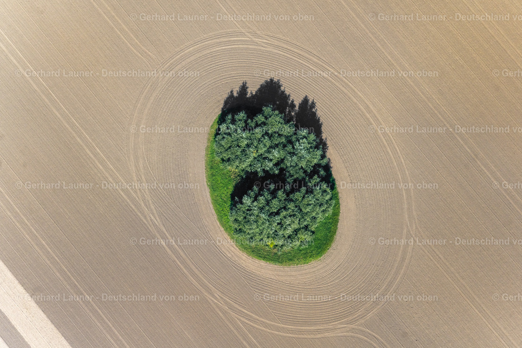 4061726 | NEUENPLEEN 08.09.2021 Acker- Rand eines Soll Biotopes auf einer Feld- Oberfläche in Neuenpleen im Bundesland Mecklenburg-Vorpommern, Deutschland. // Field edge of a target biotope in the field surface in Neuenpleen in the state Mecklenburg - Western Pomerania, Germany. Foto: Gerhard Launer