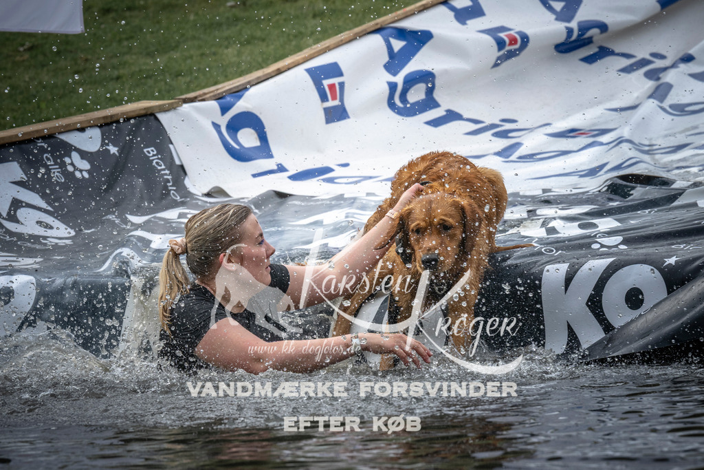 1631_ZZ98382 | kk-dogfotos