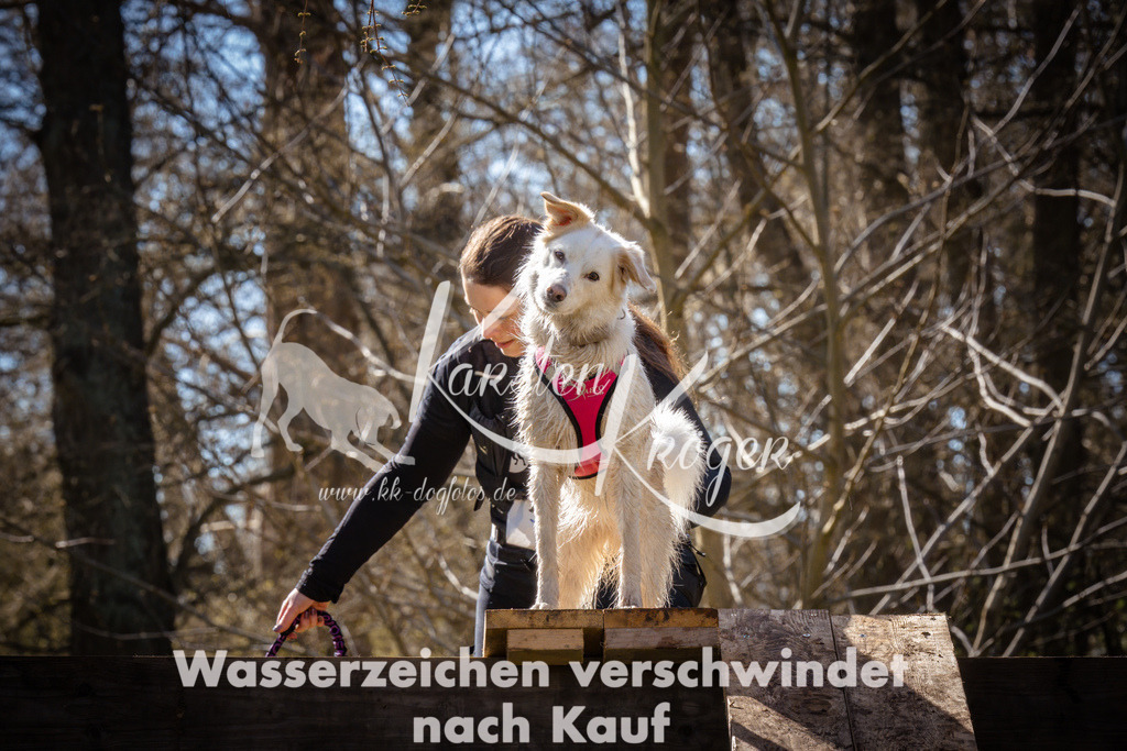 0927_ZZ95704 | kk-dogfotos