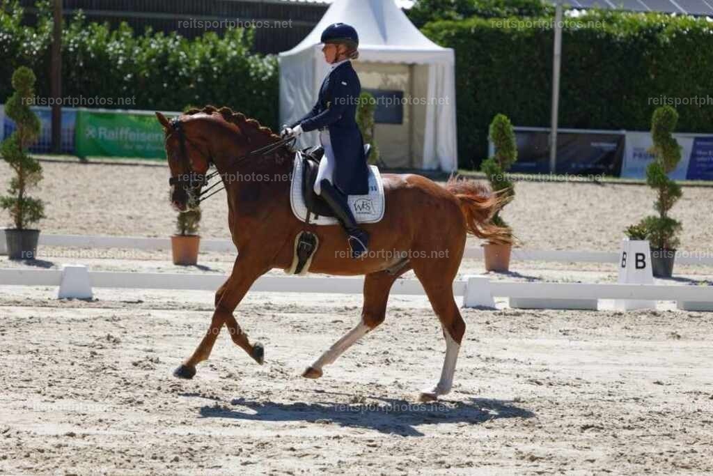 JHE_2954 | JoYa Fotografie - Realisiert mit Pictrs.com