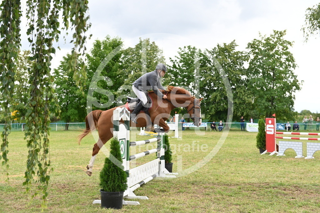 DSC_4328 | sattelsport - Realisiert mit Pictrs.com