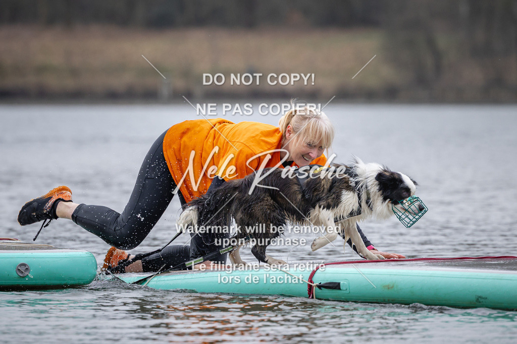 nelerasche_Hulsbeek_Sa1600-1700_196 | nelerasche