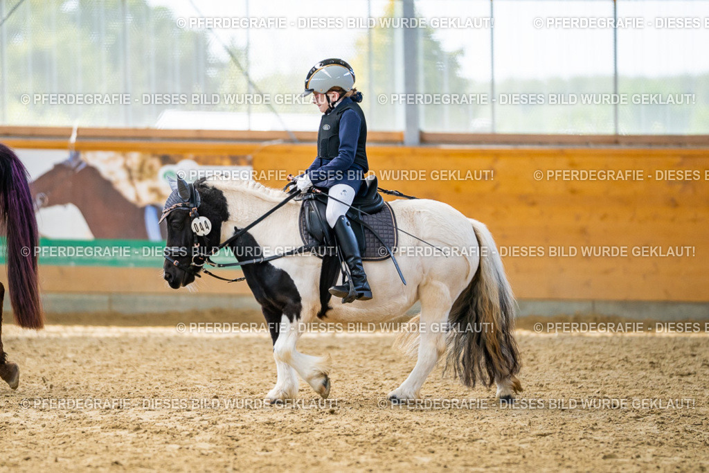 DSC01354 | Pferdegrafie