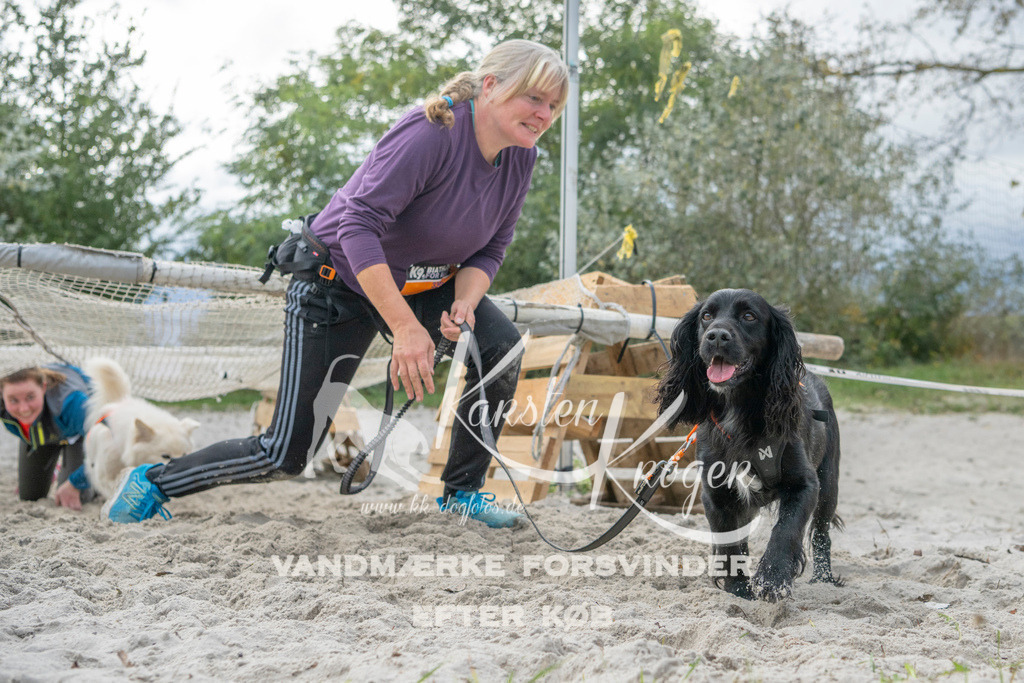 1137_ZZ98417 | kk-dogfotos