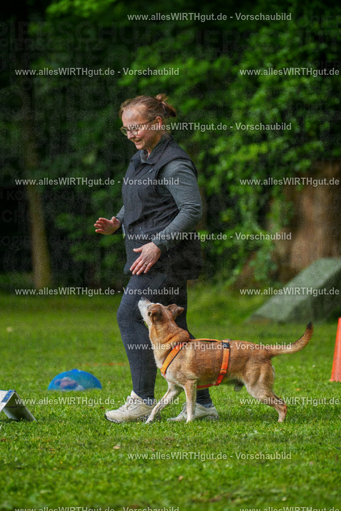 @allesWIRTHgut_Tierfotografie - www.allesWIRTHgut.de - 7R502036 | Professionelle Tierfotografie in Mönchengladbach von Daniel Wirth (allesWIRTHgut). Liebevolle & natürliche Bilder von Hunden & Katzen für unvergessliche Erinnerungen.