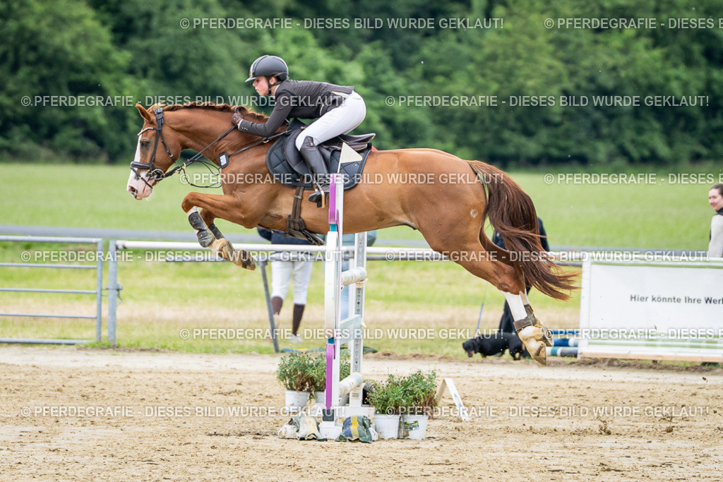 DSC04496 | Pferdegrafie