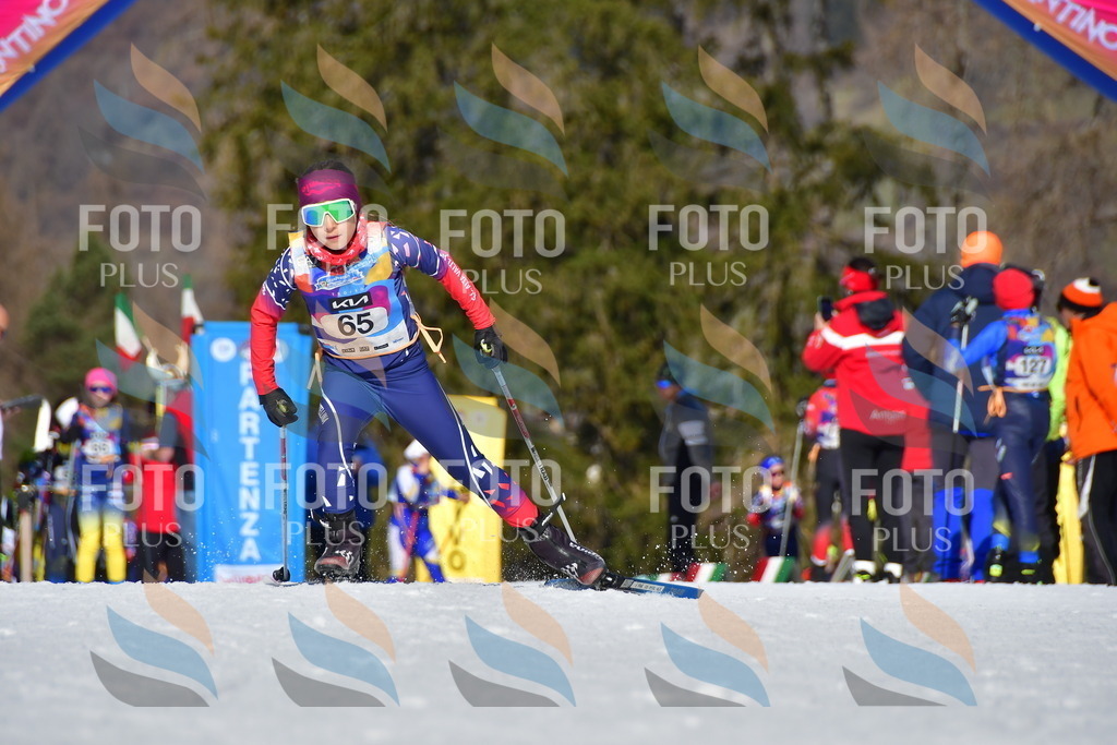 _DSC9247 | holidayphoto