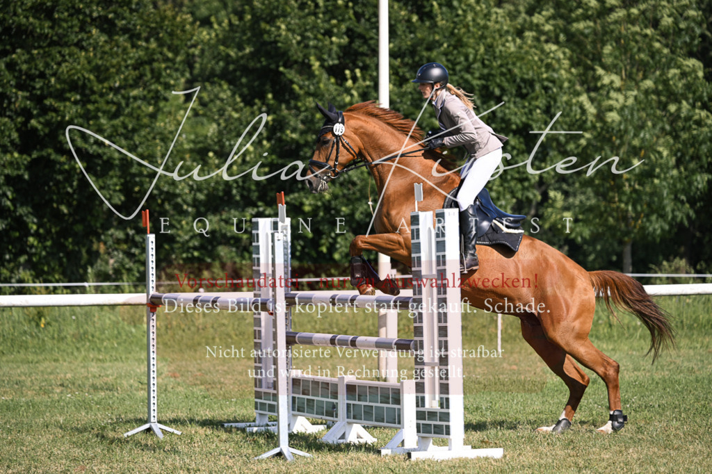 DSC_1298 | Pferde- und Turnierfotografie in Westsachsen. Pferdeportraits, Auftragszeichnungen und intuitive Kunst.