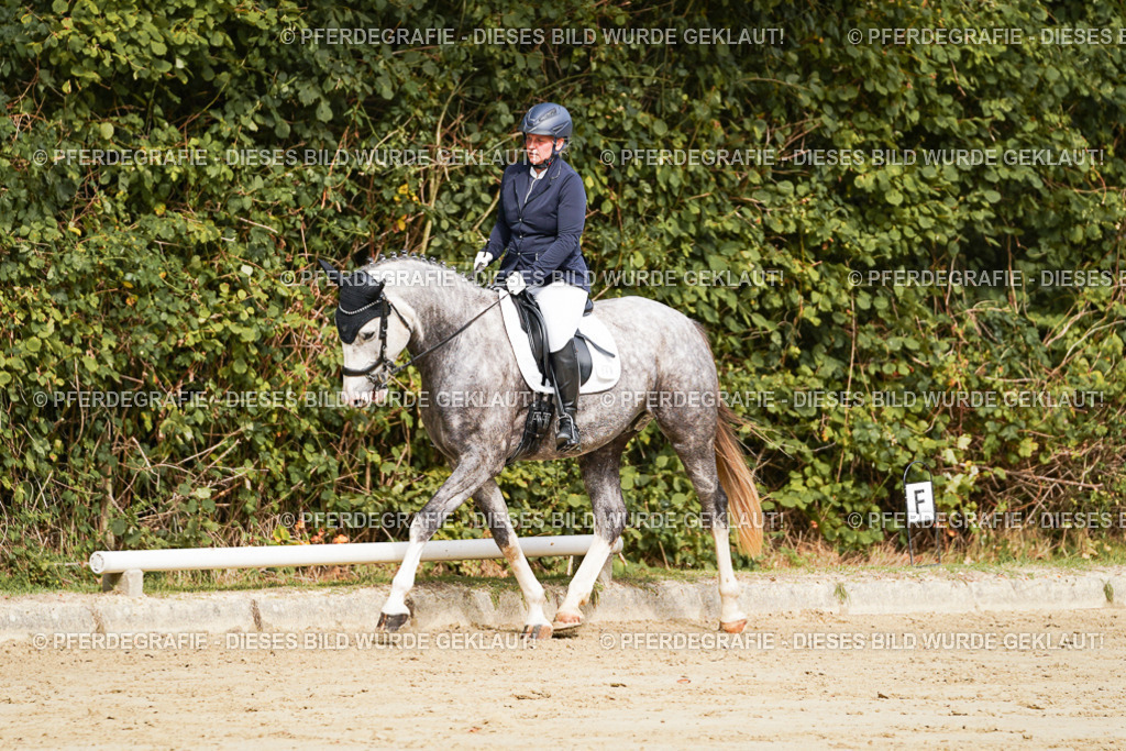 DSC01576 | Pferdegrafie