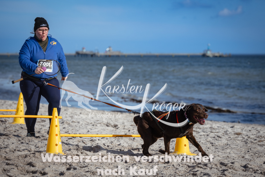 1332_ZZ91776 | kk-dogfotos