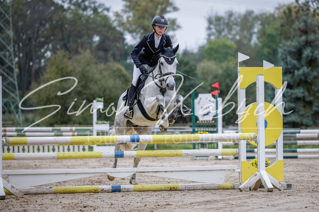 20251012-_3LI3224 | Tierfotografie Pferde, Hunde, Katzen, Haustiere.
Turnierfotografie Reitturniere, Reiten, Springreiten, Dressur in Hanau, dem Main-Kinzig-Kreis und dem Rhein-Main- Gebiet um Frankfurt