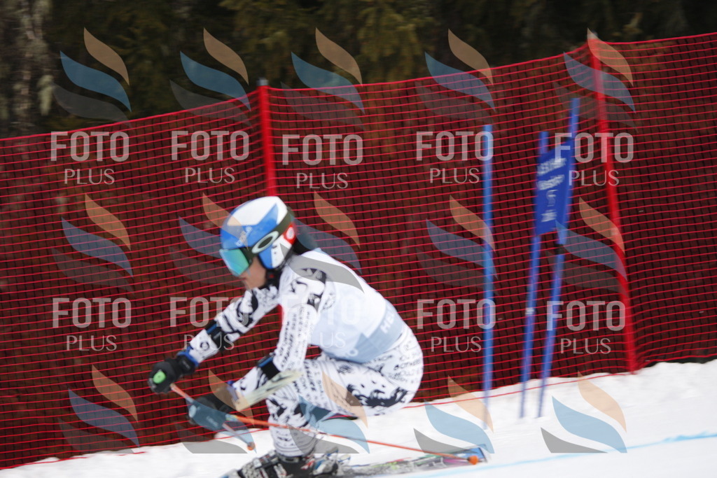 D4701 | holidayphoto