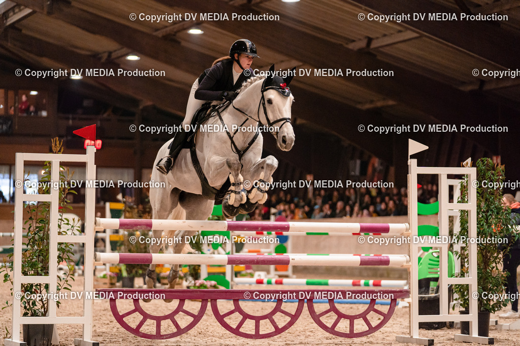 Springen Tag 2-746 | dv-media-shop - Realisiert mit Pictrs.com