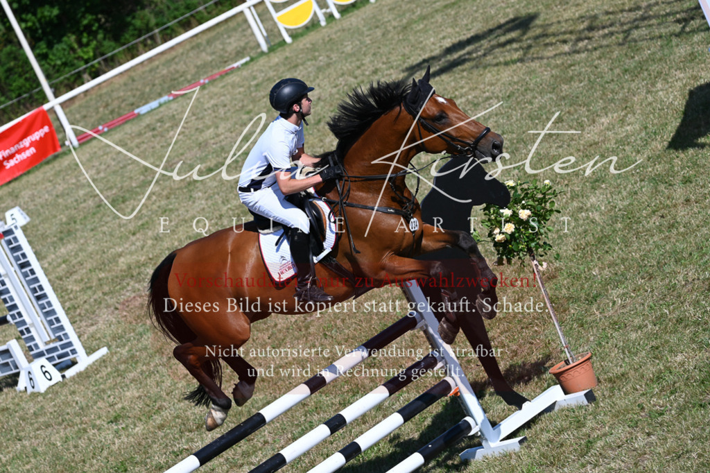 DSC_1920 | Pferde- und Turnierfotografie in Westsachsen. Pferdeportraits, Auftragszeichnungen und intuitive Kunst.