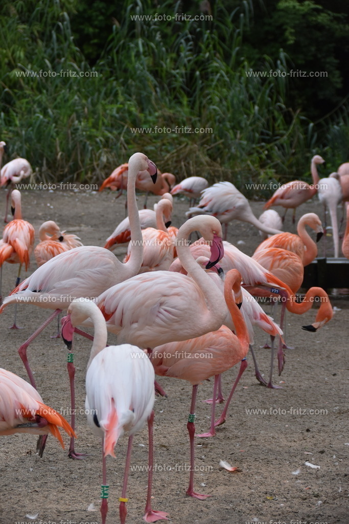 JUN_5834 | www.foto-fritz.com - Realisiert mit Pictrs.com