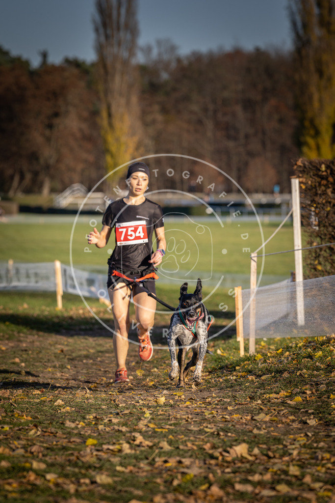 CaniXpix_DV3A2515 | Hundefotografie, Tierfotograf, Pfotenfotografie, Fotoshooting Hund, Hunde Portrait, Hundesport, Hundeportraits, Heideshooting, Hunde, Sportfotograf, Hundefotograf, Turnierhundsport, THS,  - Realisiert mit Pictrs.com