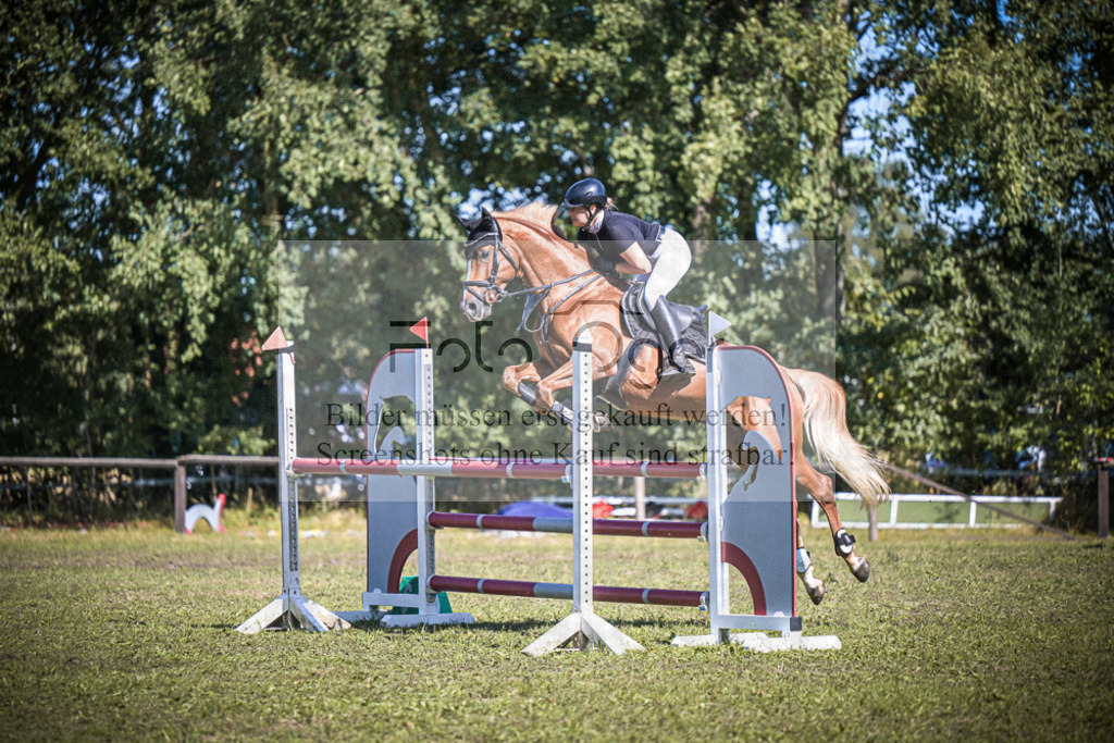 DOS_0448 | Entdecke hochwertige Reitturnierfotos von Foto Oger. Professionell, emotional und authentisch – jetzt Lieblingsmomente im Shop bestellen.Deutschlandweite Turnierfotografie. - Realisiert mit Pictrs.com