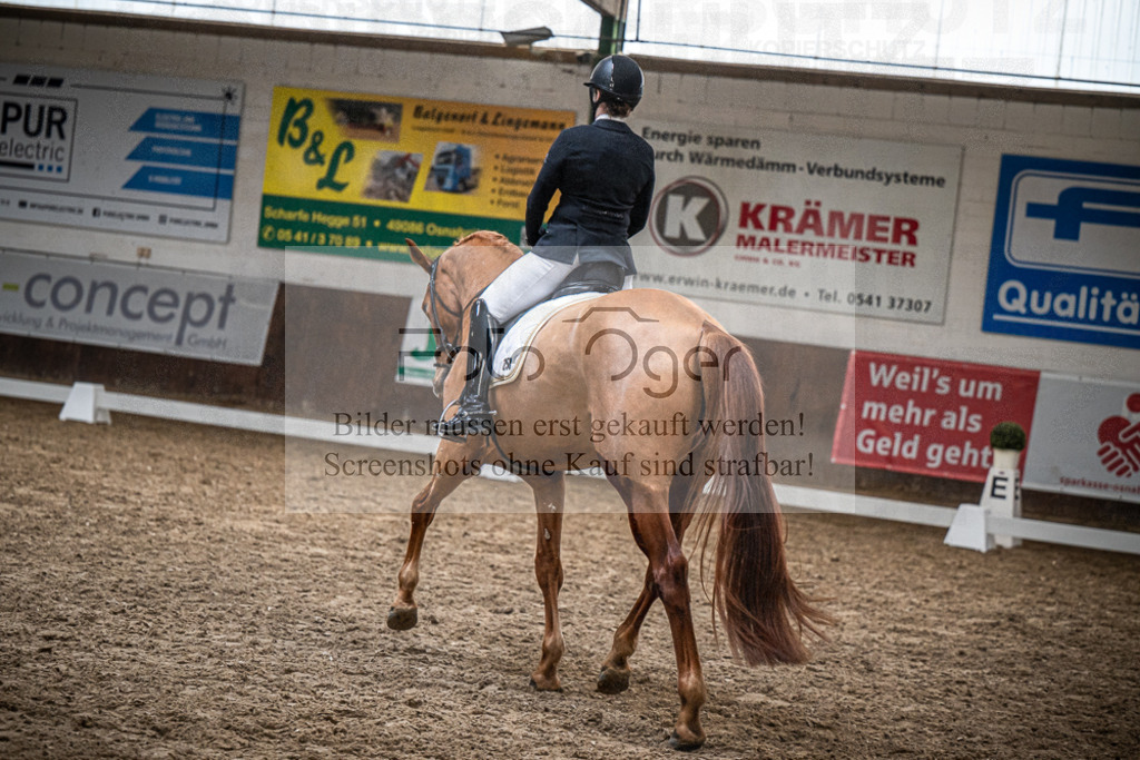 DOS_0150 | Entdecke hochwertige Reitturnierfotos von Foto Oger. Professionell, emotional und authentisch – jetzt Lieblingsmomente im Shop bestellen.Deutschlandweite Turnierfotografie. - Realisiert mit Pictrs.com
