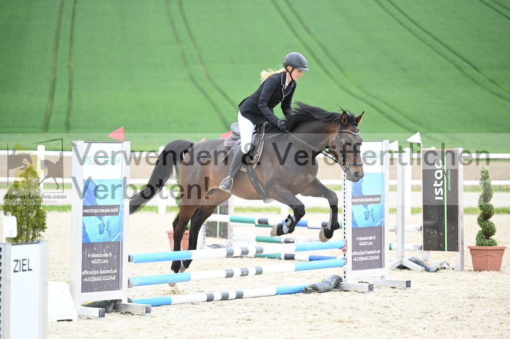 DSC_2014 | equestrian-live-com
