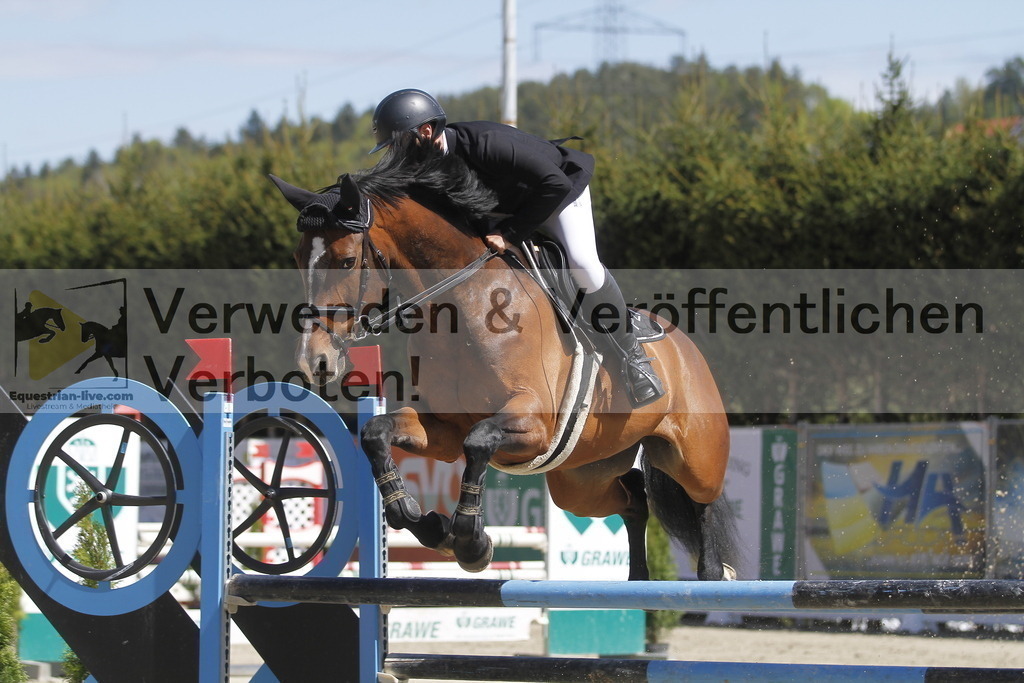 _MG_5582 | equestrian-live-com