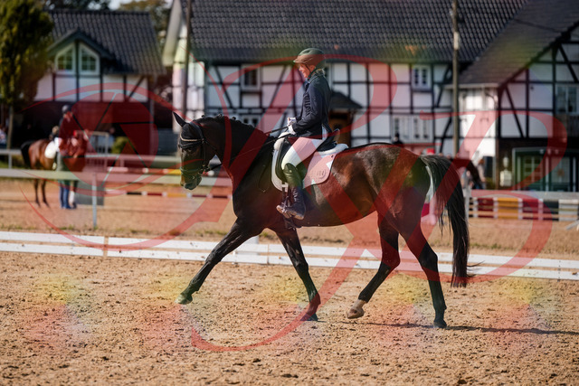 2026_10_03_Siefer-Hof_133638_Z63_97224158 | Professionelle Reitsport-, Turnier- und Eventfotografie von Robert Broda. Galerien mit ausgewählten und bearbeiteten Bildern direkt online ansehen und bestellen.
