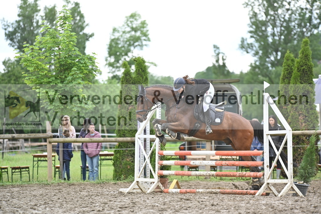DSC_0564 | equestrian-live-com