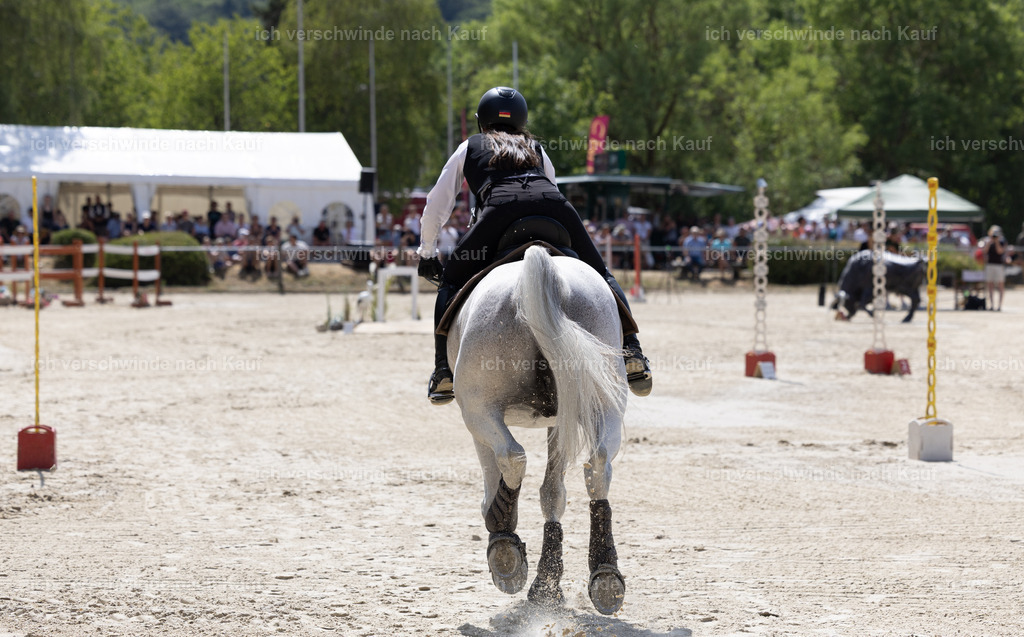 WM_Speed_YR_133_KerstinBernhardt-9 | working equitationturnier fotograf videograf stoibphotography marixx film working equitation deutschland reitsport turnierfotografie eventfotografie equestrian events