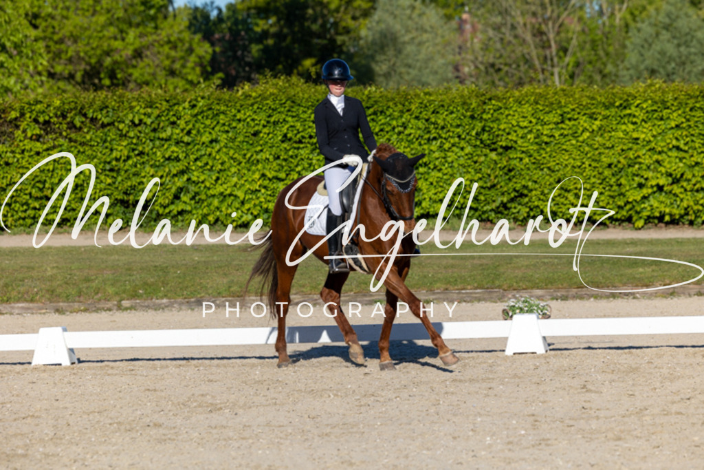7I8A8374 | melanie-engelhardt-photography - Realisiert mit Pictrs.com