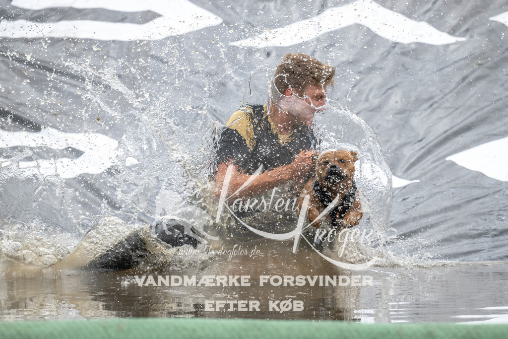 1400_ZZ93701 | kk-dogfotos