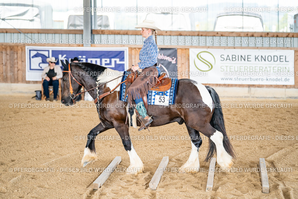 DSC02297 | Pferdegrafie