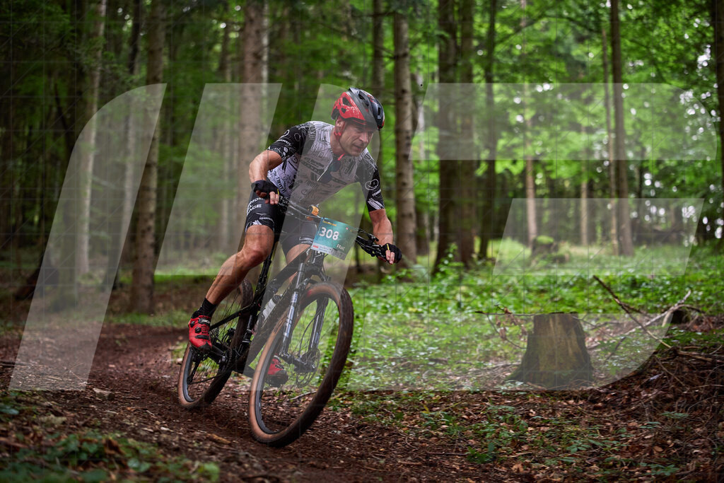 Betriebszentrum Laubenbachmühle, Frankenfels, Österreich - 13. September 2025: Dirndltal Race - Fun und Trophy RaceFotograf: Martin Bihounek / martinbihounek.com | 13. September 2025 Betriebszentrum Laubenbachmühle, Frankenfels, Österreich : Dirndltal Race - Fun und Trophy Race •••••Photo by: Martin Bihounek / martinbihounek.comInsta: @martinbihounekcom