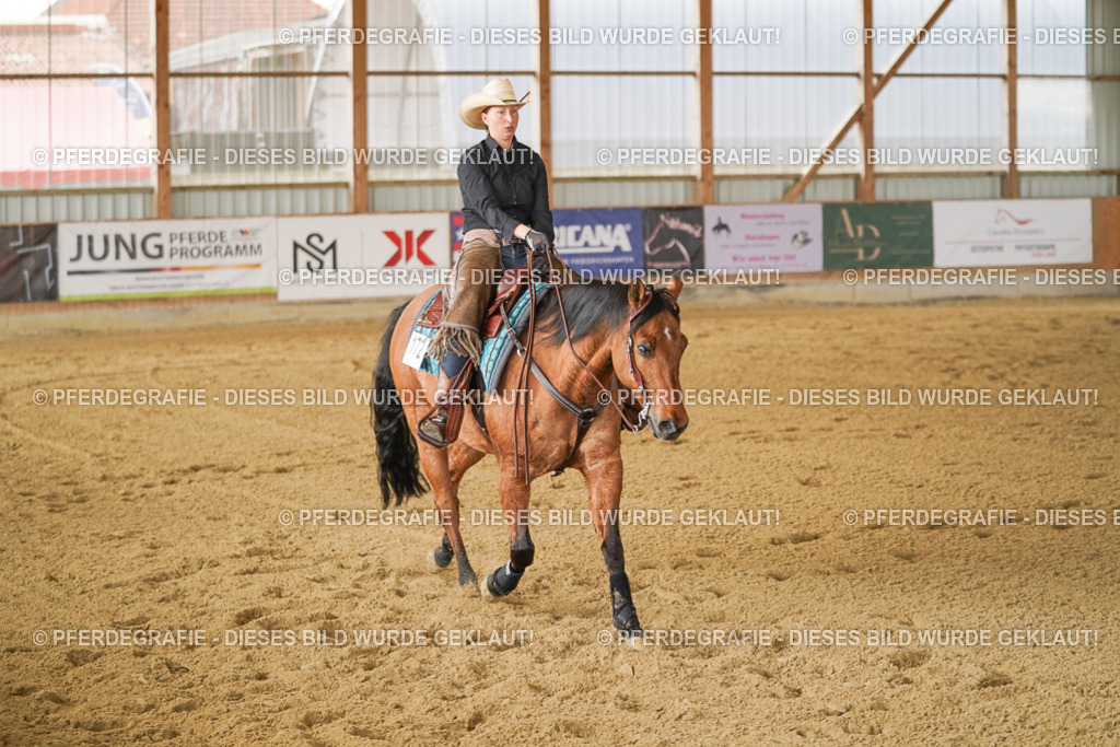 DSC03052 | Pferdegrafie