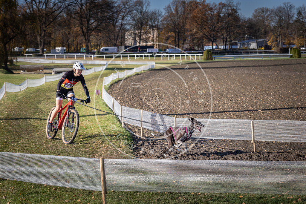 CaniXpix_DV3A4554 | Hundefotografie, Tierfotograf, Pfotenfotografie, Fotoshooting Hund, Hunde Portrait, Hundesport, Hundeportraits, Heideshooting, Hunde, Sportfotograf, Hundefotograf, Turnierhundsport, THS,  - Realisiert mit Pictrs.com