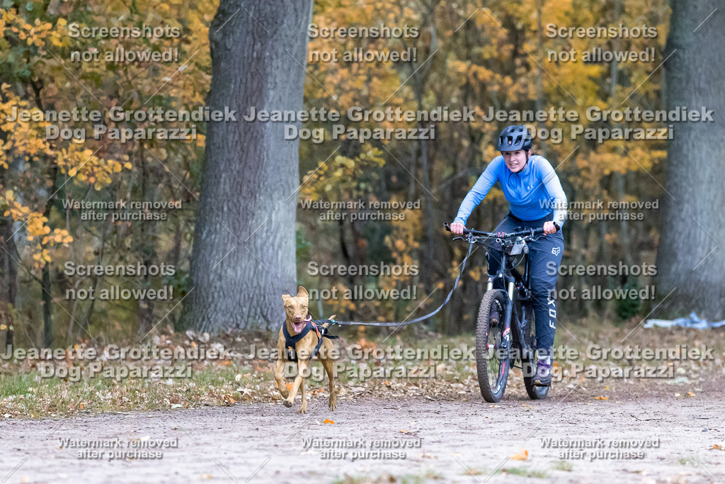 Dog Paparazzi - SD CaniX Championship 2025-74 | Dog Paparazzi Jeanette Grottendiek Fotografie & Videografie - Realisiert mit Pictrs.com