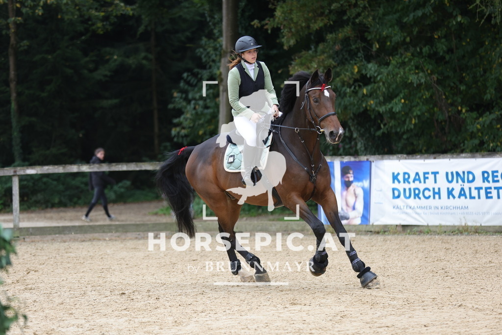 0P6A5774 | Willkommen bei Brunnmayr - Design & Fotografie – Ihrem Spezialisten für Reitturniere und Pferdeveranstaltungen in Oberösterreich, Salzburg und Bayern! Seit über 17 Jahren sind wir leidenschaftlich dabei.