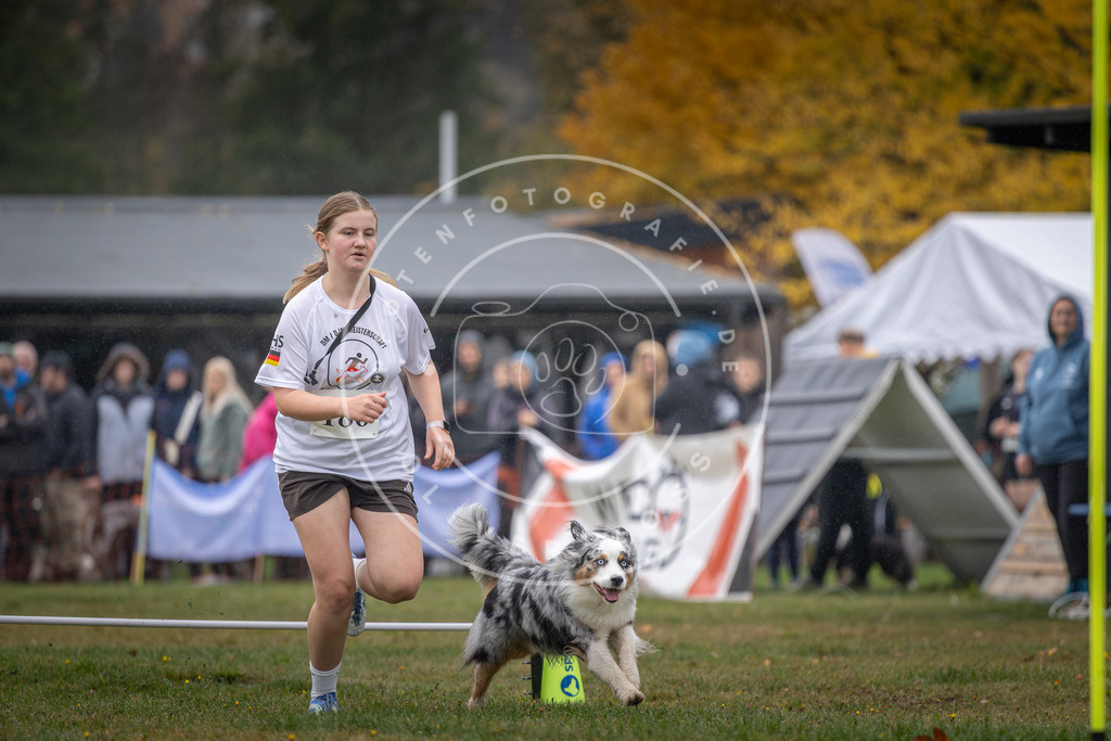 Pfotenfotografie_DV3A9776 | Hundefotografie, Tierfotograf, Pfotenfotografie, Fotoshooting Hund, Hunde Portrait, Hundesport, Hundeportraits, Heideshooting, Hunde, Sportfotograf, Hundefotograf, Turnierhundsport, THS,  - Realisiert mit Pictrs.com