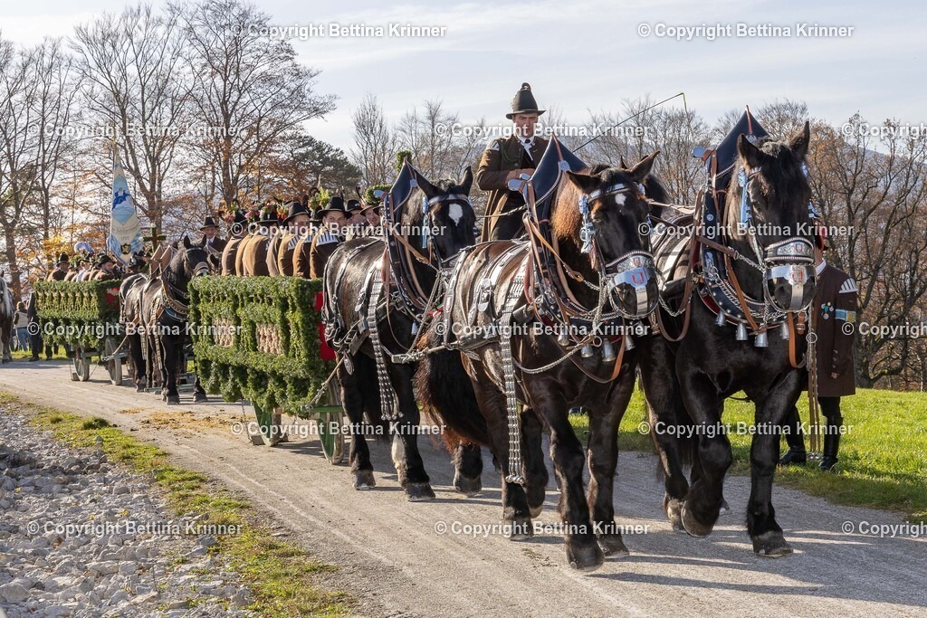 LBT24-1436 | foto-bettina-krinner - Realisiert mit Pictrs.com