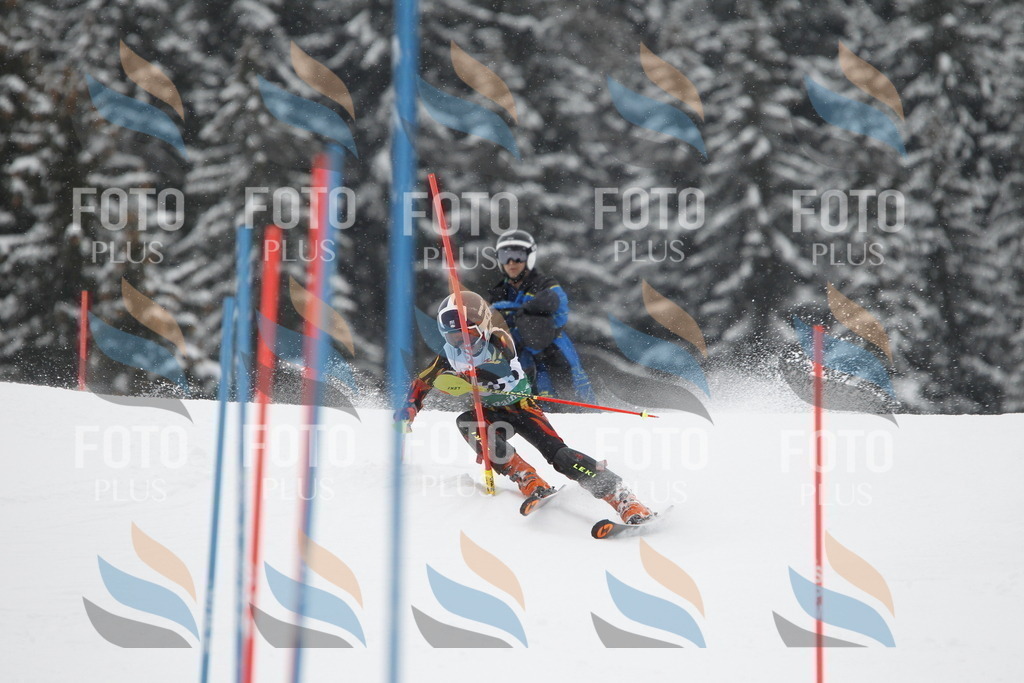 A2153 | holidayphoto