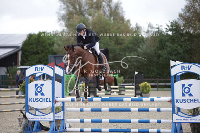 1J2A9904Henry Delfs_ Contaira_ Kn284_ Havekost | Foto- und Videografie für alles rund ums Pferd. Hochwertige Bilder und Videos vom Spring- und Dressurreiten, Voltigieren & mehr. Jetzt aktuelle Veranstaltungen und Preise im Shop ansehen. - Realisiert mit Pictrs.com