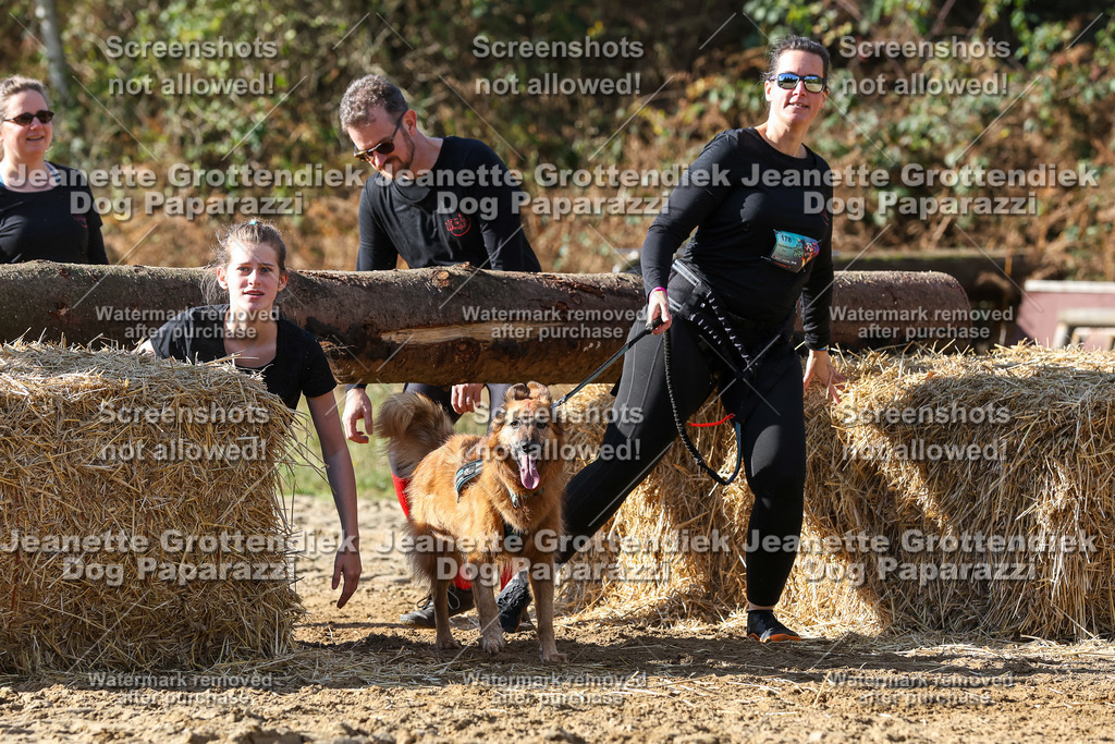 Dog Paparazzi - Strongdog 10-25-4841 | Dog Paparazzi Jeanette Grottendiek Fotografie & Videografie - Realisiert mit Pictrs.com