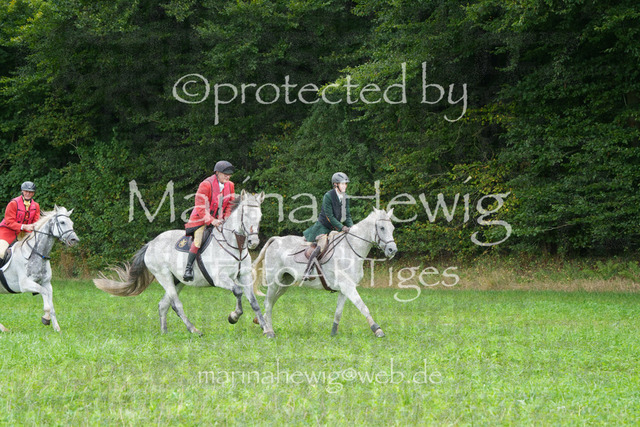 Jagd Perdoel_MarinaHewigMCH04507 | Fotografie, FotoArt, PferdesportArt, Pferdesportfotografie, Landschaftsfotografie, Reisefotografie, Reise, Pferde - Realisiert mit Pictrs.com