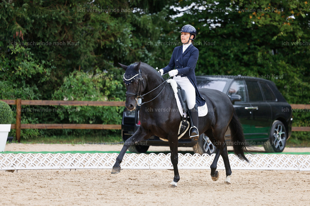 07-194-DRESSUR  S___  -StoibPH-5001 | working equitationturnier fotograf videograf stoibphotography marixx film working equitation deutschland reitsport turnierfotografie eventfotografie equestrian events