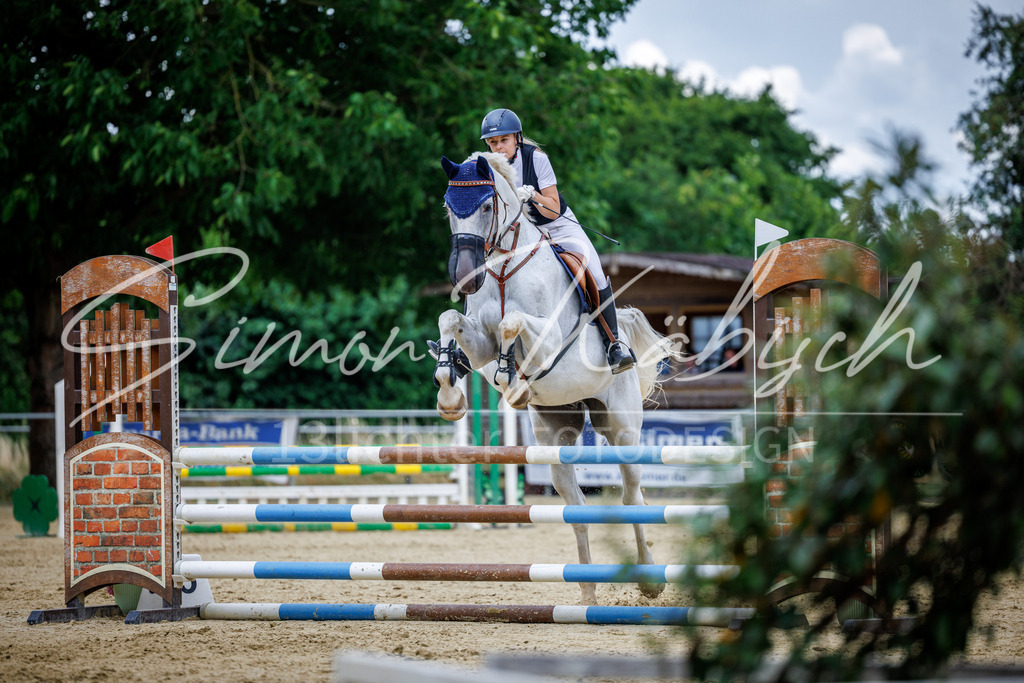 20260705-_3LI5277 | Tierfotografie Pferde, Hunde, Katzen, Haustiere.
Turnierfotografie Reitturniere, Reiten, Springreiten, Dressur in Hanau, dem Main-Kinzig-Kreis und dem Rhein-Main- Gebiet um Frankfurt