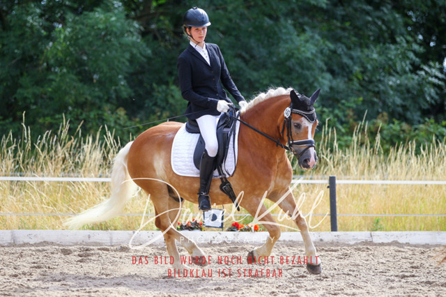 DKP45879 | Turniersportfotografie; Pferdefotografie; Dressurfotografie