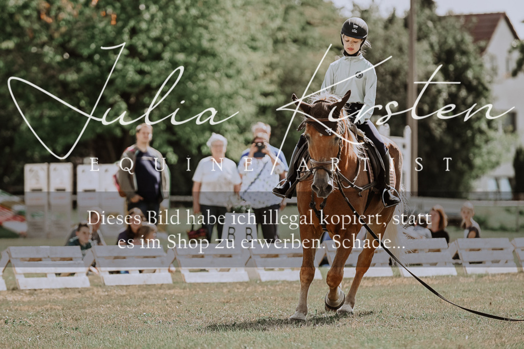 DSC_7546 | Pferde- und Turnierfotografie in Westsachsen. Pferdeportraits, Auftragszeichnungen und intuitive Kunst.