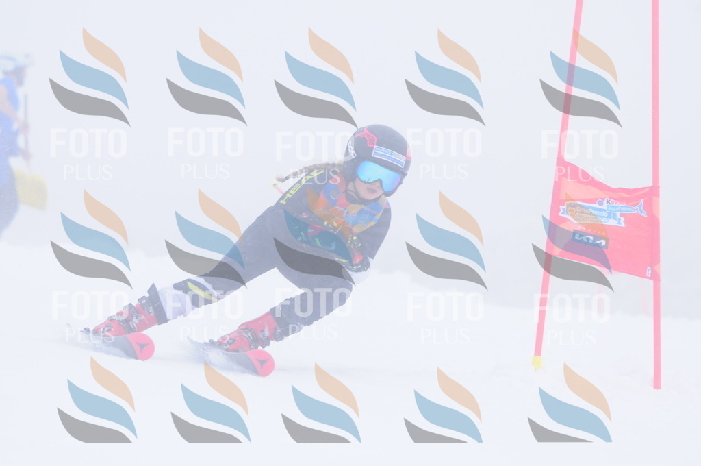 C1912 | holidayphoto